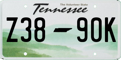 TN license plate Z3890K