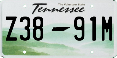 TN license plate Z3891M