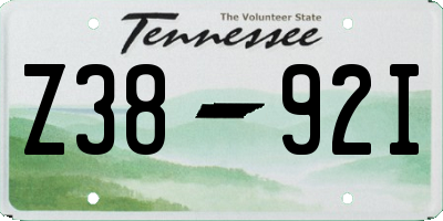 TN license plate Z3892I