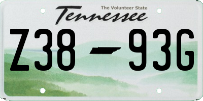 TN license plate Z3893G