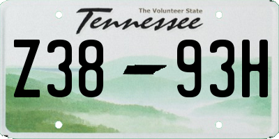 TN license plate Z3893H