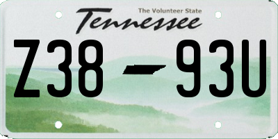TN license plate Z3893U