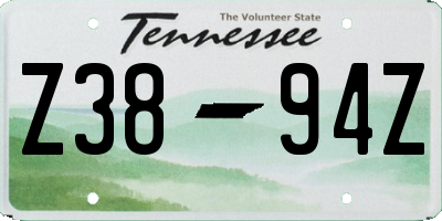 TN license plate Z3894Z