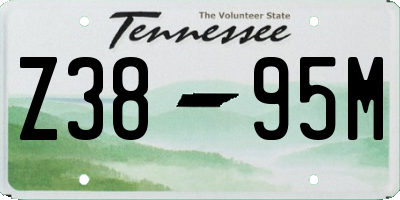 TN license plate Z3895M