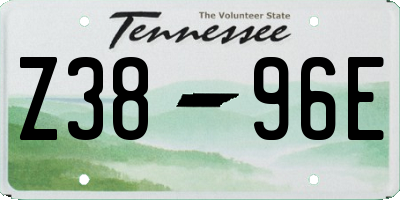 TN license plate Z3896E
