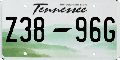 TN license plate Z3896G