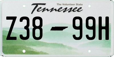TN license plate Z3899H
