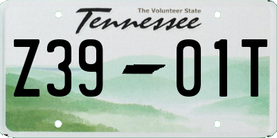 TN license plate Z3901T
