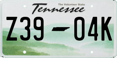 TN license plate Z3904K