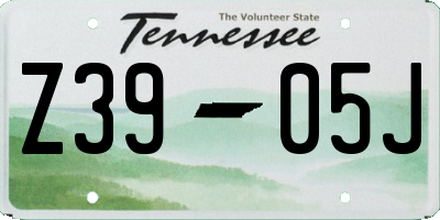 TN license plate Z3905J
