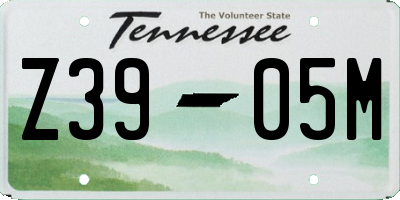 TN license plate Z3905M