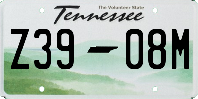 TN license plate Z3908M