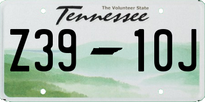 TN license plate Z3910J