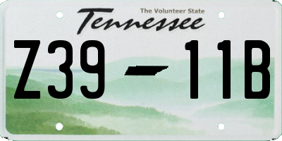 TN license plate Z3911B