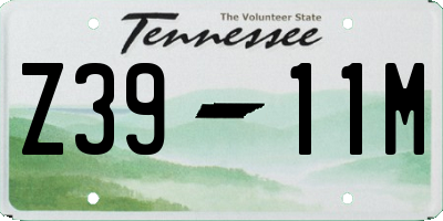 TN license plate Z3911M