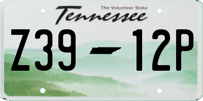 TN license plate Z3912P