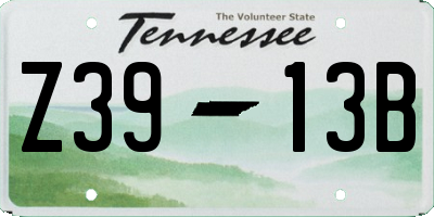 TN license plate Z3913B