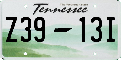 TN license plate Z3913I