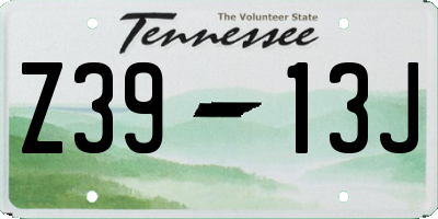 TN license plate Z3913J