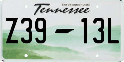 TN license plate Z3913L