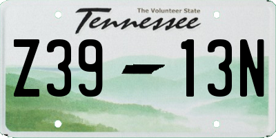 TN license plate Z3913N