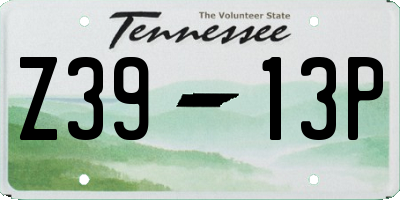TN license plate Z3913P