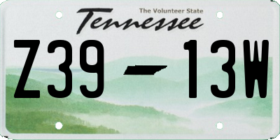 TN license plate Z3913W