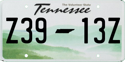 TN license plate Z3913Z
