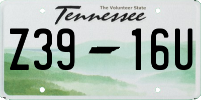 TN license plate Z3916U