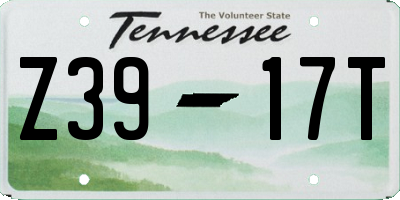 TN license plate Z3917T