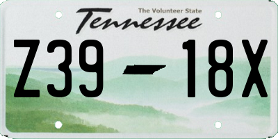 TN license plate Z3918X