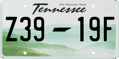 TN license plate Z3919F