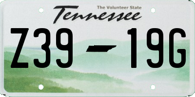 TN license plate Z3919G