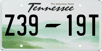 TN license plate Z3919T