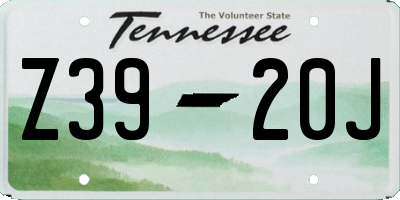 TN license plate Z3920J