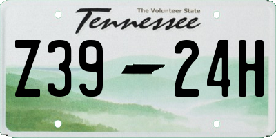 TN license plate Z3924H