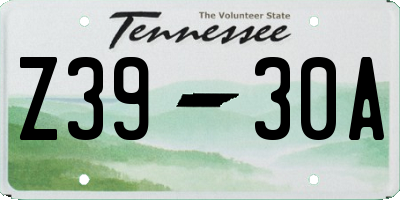 TN license plate Z3930A
