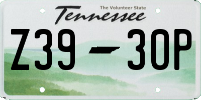 TN license plate Z3930P