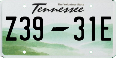 TN license plate Z3931E