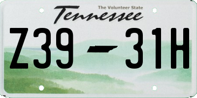 TN license plate Z3931H