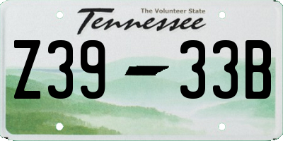 TN license plate Z3933B