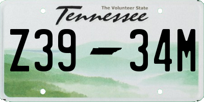TN license plate Z3934M