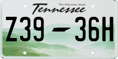 TN license plate Z3936H