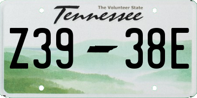 TN license plate Z3938E