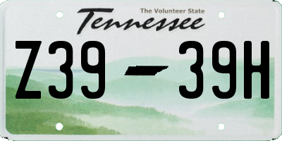 TN license plate Z3939H