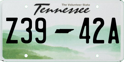 TN license plate Z3942A