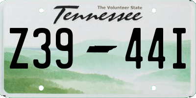 TN license plate Z3944I