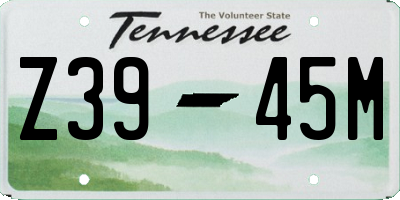 TN license plate Z3945M