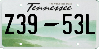 TN license plate Z3953L