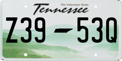 TN license plate Z3953Q
